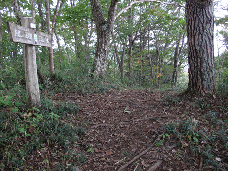 20181016hike (116)